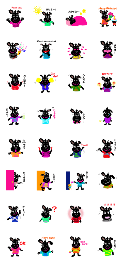 Black Miniature Schnauzer COCO 3 Black Miniature Schnauzer COCO 3