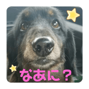 sato_20210420184023