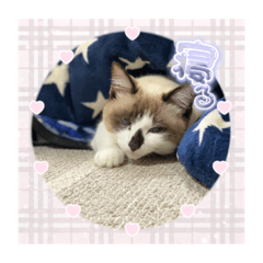 AOI_20210420192748