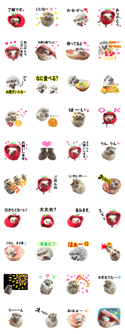 Hedgehog every day 2