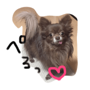 Chihuahua stamp (nate)