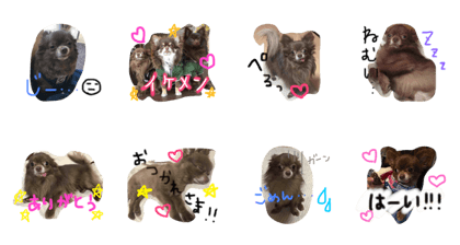 Chihuahua stamp (nate)