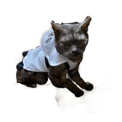 sayuri_20210420224931