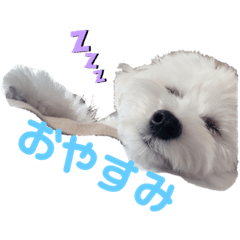 Nanami_20210420202149