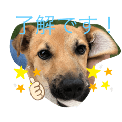 yuka_20210420200909