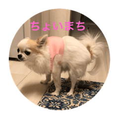 Miki_20210420205859