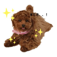 hana_20210420194313