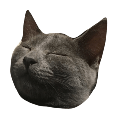 SayaMugi