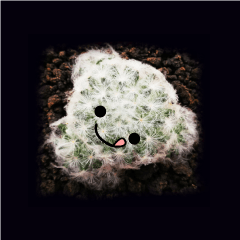 Emotion Cactus