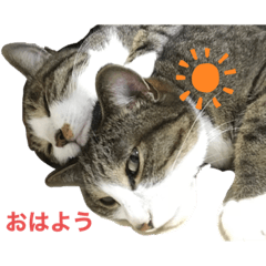 Hana_20210420222001