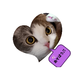 yukari_20210421102321