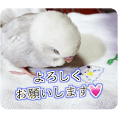 miki_20210420225728