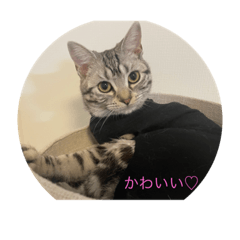 tomomi_20210420232657