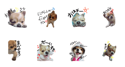 tiwawanoichikun tiwawanoichikun