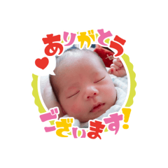 yun_2021