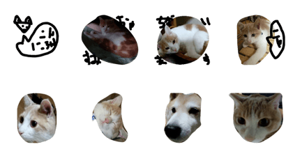 Hito's cat and dog Hito's cat and dog