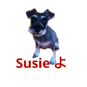 Susie's collection Susie's collection