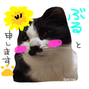 aidoru burutan aidoru burutan