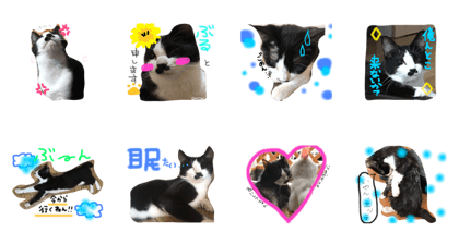 aidoru burutan aidoru burutan