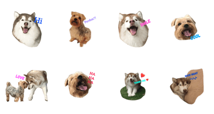 my little dog (zaibuu & zaetae) my little dog (zaibuu & zaetae)