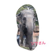 dobutusuki dobutusuki