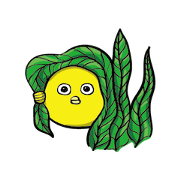 Golden Bubble Golden Bubble