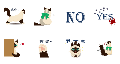 Cat's daily life 2 Cat's daily life 2