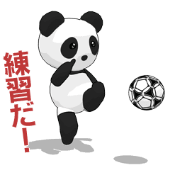 Panda! Soccer player!