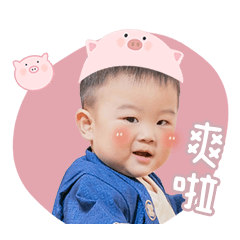 YCbaby豬豬