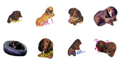 Shokora and sakura Shokora and sakura