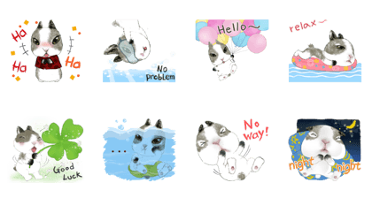 Little handsome rabbitIN02