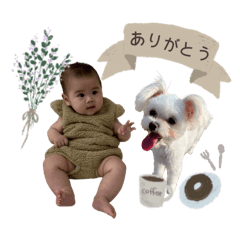 toasora__coton sticker