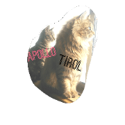 tirol and apollo tirol and apollo