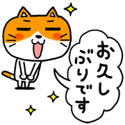 working cat -wording 40-