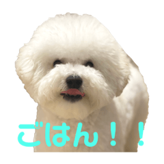 NAHO_20210421132033