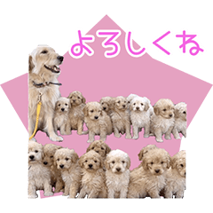 TANOSHII 1NICHI Sticker