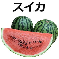 Watermelon Line Stickers Line Store