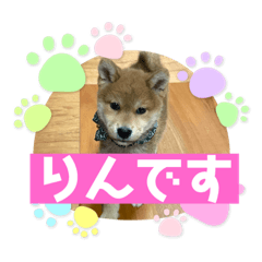 kaito_20210421145709