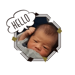 panda_20210421133242