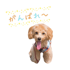 Ayumi_20210421132933