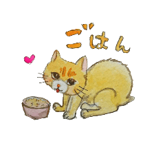 I am su.orange cat.