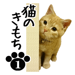 NEKO no kimochi 1 cat