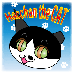 Hacchan the cat
