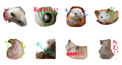 max sticker