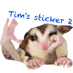 Sugar Glider Tim's sticker 2