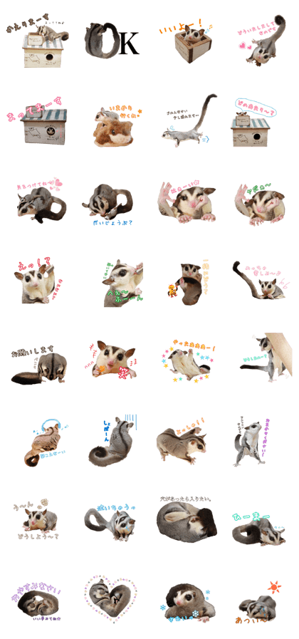 Sugar Glider Tim's sticker 2