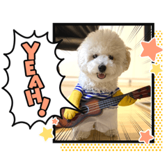 NAHO_20210421163953