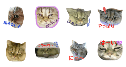 sakuran's