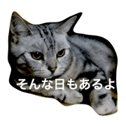 TOMogo