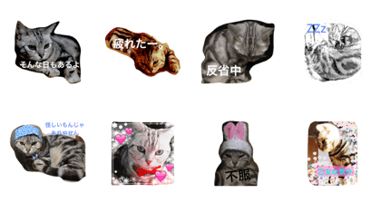 TOMogo